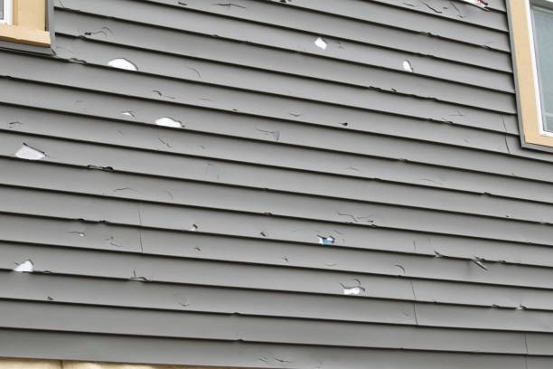 Best Aluminum Siding Installation  in USA